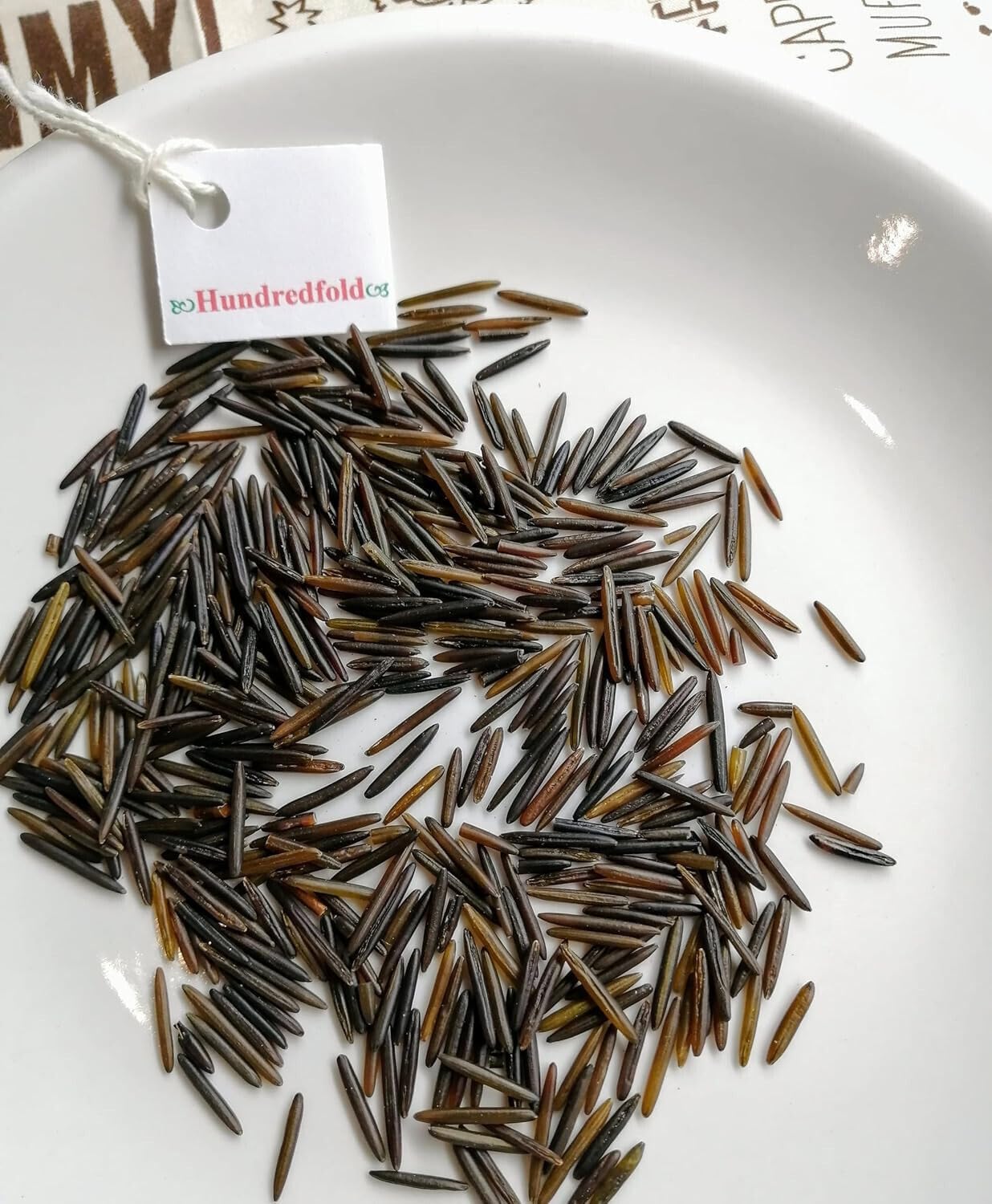 だいず Brittle Wax Bean | Gaia Organic Seeds
